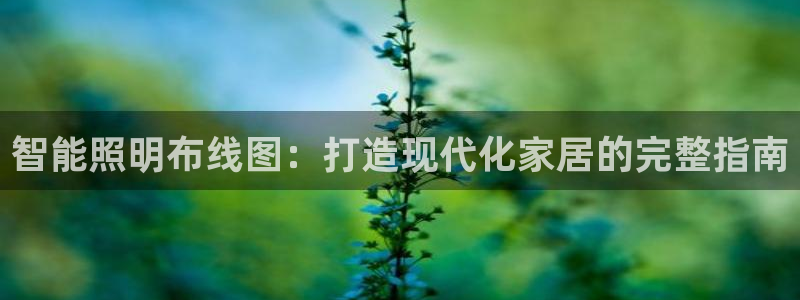 云顶国际测试服怎么进