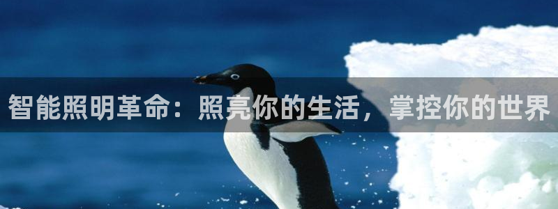 淮北云顶国际雷刚