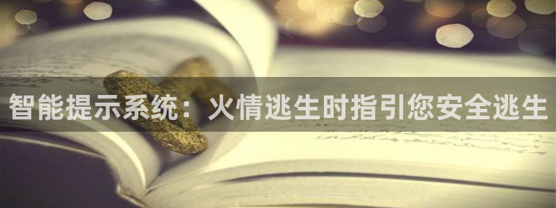 云顶国际停车费