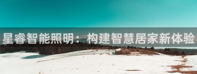 云顶国际服充值
