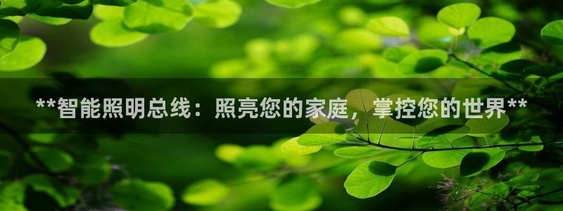 云顶国际pg网站官网