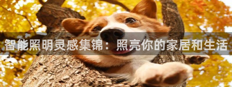 云顶国际北大街