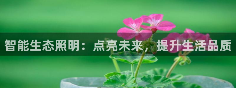 云顶集团3118