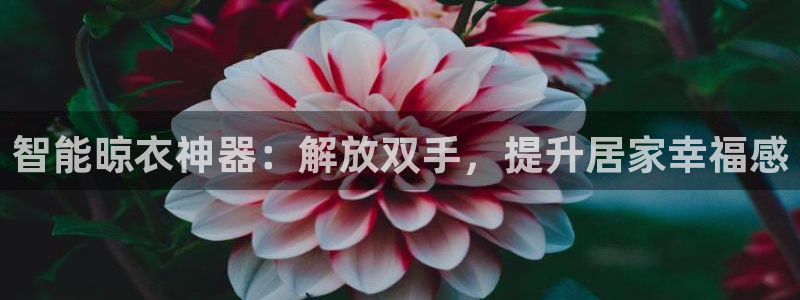 云顶集团游戏app苹果版