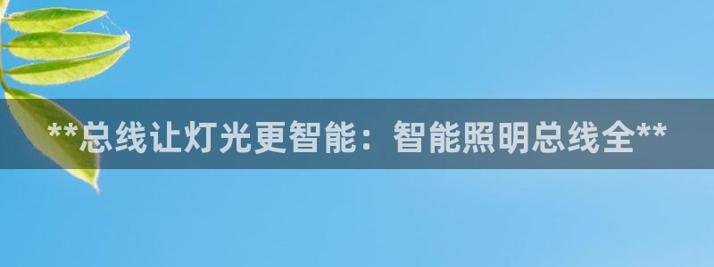 云顶国际足球app下载