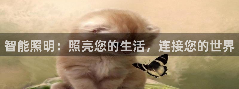 云顶集团电话