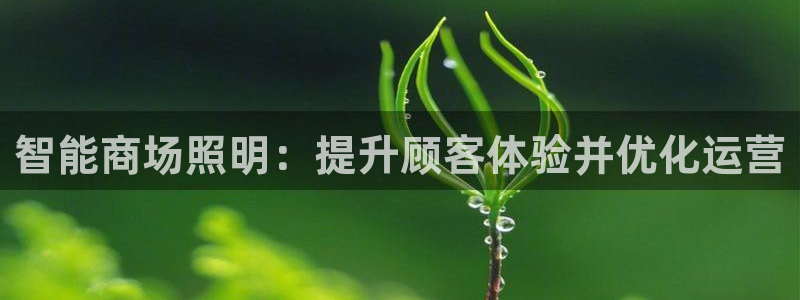 云顶国际平台违法吗?