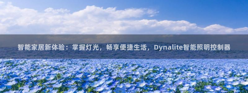 云顶yy