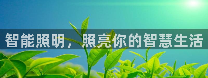 云顶集团简介和历史