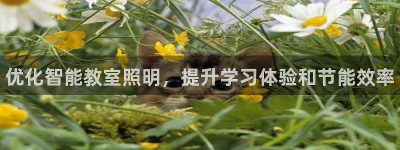 云顶集团有限公司是国企吗
