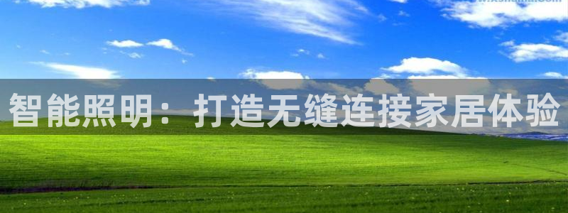 云顶集团网投领跑者