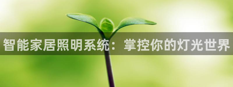 云顶app官网
