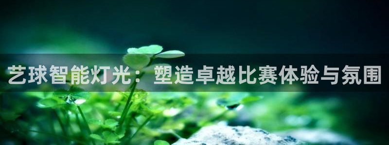 云顶ktv国际会所