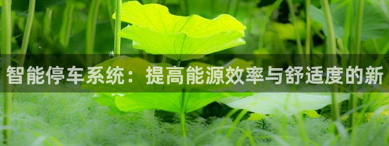 云顶国际A405