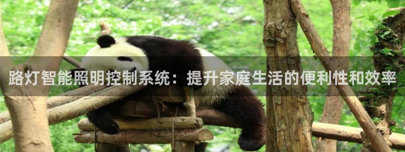 云顶国际老板是谁啊