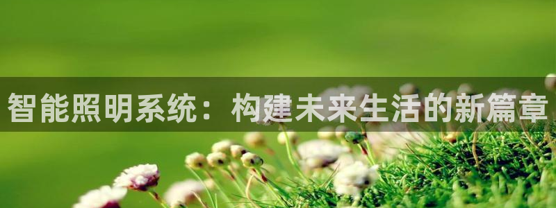 云顶国际app免费下载