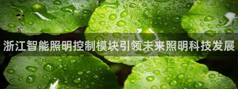 云顶官网唯一官方网站