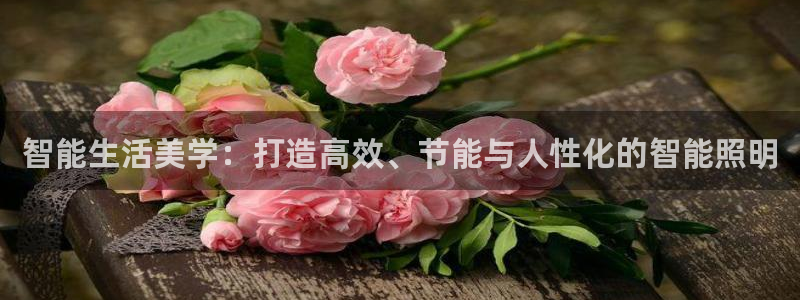云顶国际地址