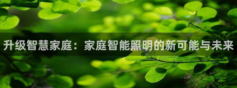 云顶国际酒店：升级智慧家庭：家庭智能照明