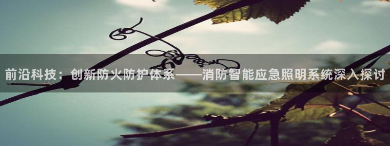 临沂云顶国际