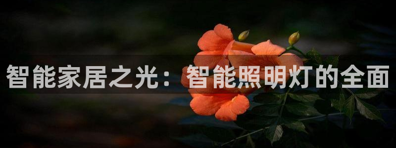 云顶国际服名字
