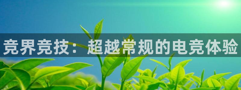 泛亚电竞比赛：竞界竞技：超越常规的电竞体验