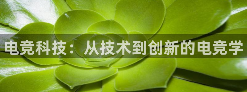 泛亚电竞邀98db in：电竞科技：从技术到创新的电竞学