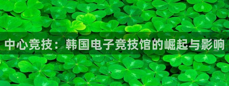 im电竞和泛亚电竞有什么区别