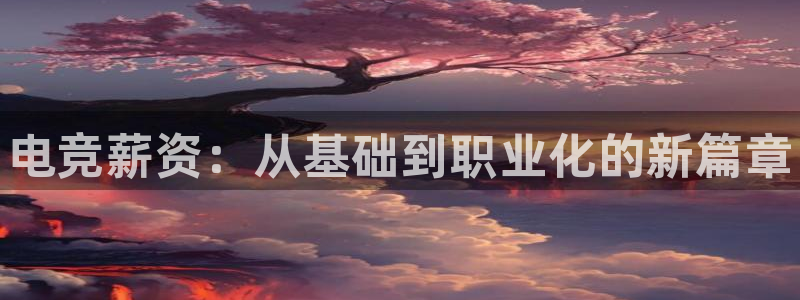 泛亚电竞和im电竞的区别：电竞薪资：从基础到职业化的新篇章