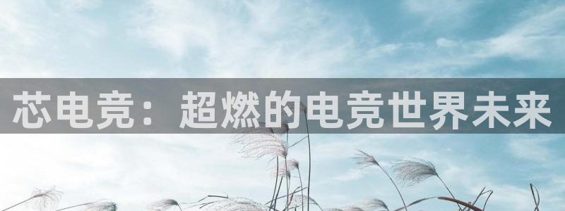 泛亚电竞avia：芯电竞：超燃的电竞世界未来