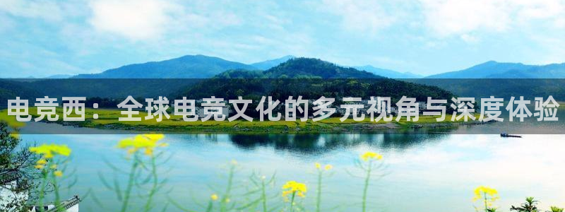 泛亚电竞和im电竞的区别：电竞西：全球电竞文化的多元视角与深度体验