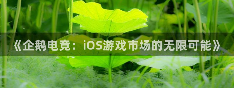 泛亚电竞：《企鹅电竞：iOS游戏市场的无限可能》