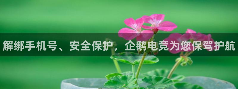 泛亚电竞精选：解绑手机号、安全保护，企鹅电竞为您保驾护航