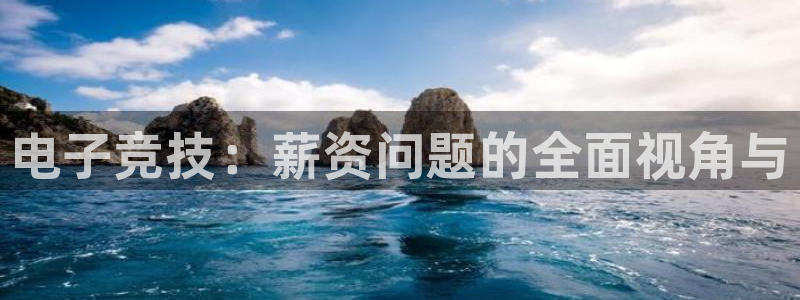 泛亚电竞综合APP：电子竞技：薪资问题的全面视角与