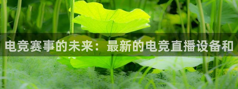 泛亚电竞综合：电竞赛事的未来：最新的电竞直播设备和