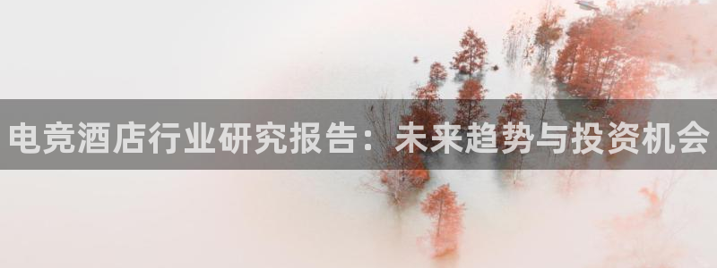 2021泛亚电竞网址：电竞酒店行业研究报告：未来趋势与投资机会
