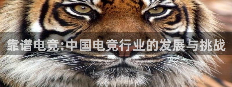 泛亚电竞入口：靠谱电竞:中国电竞行业的发展与挑战