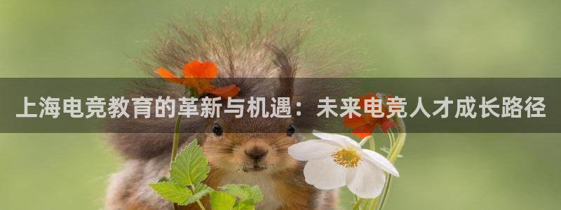 泛亚电竞内部：上海电竞教育的革新与机遇：未来电竞人才成长路径