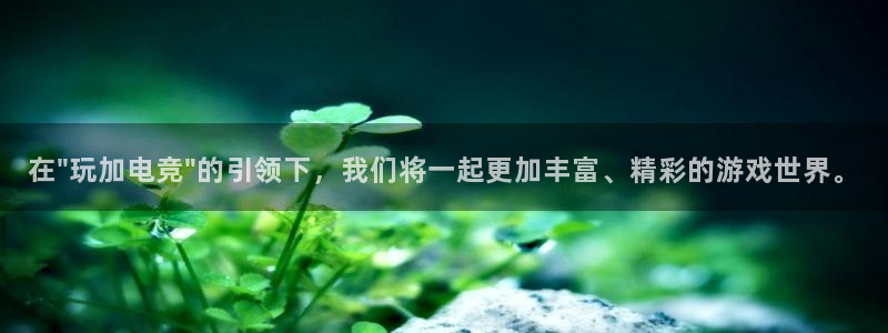 2021泛亚电竞网址：在\