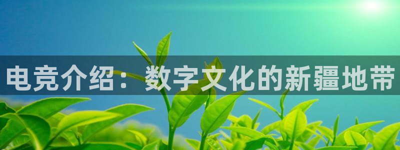 2021泛亚电竞网址：电竞介绍：数字文化的新疆地带