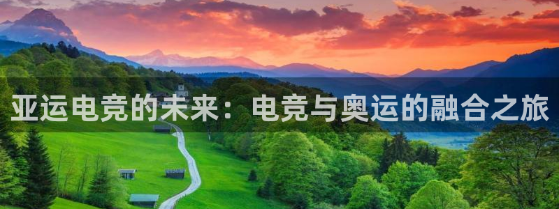 泛亚电竞综合：亚运电竞的未来：电竞与奥运的融合之旅