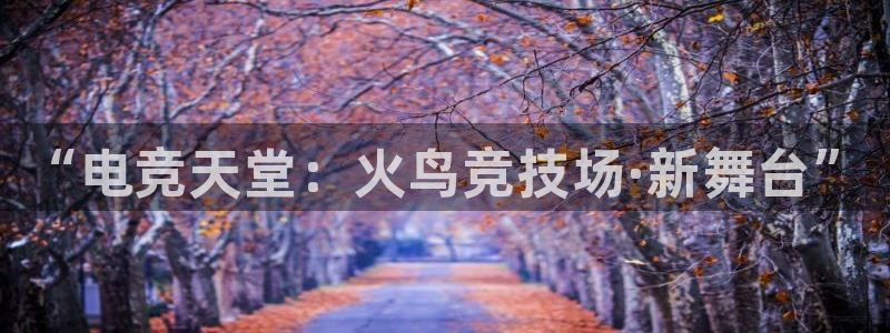 泛亚电竞入口：“电竞天堂：火鸟竞技场·新舞台”