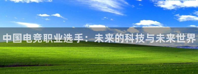 泛亚电竞综合：中国电竞职业选手：未来的科技与未来世界