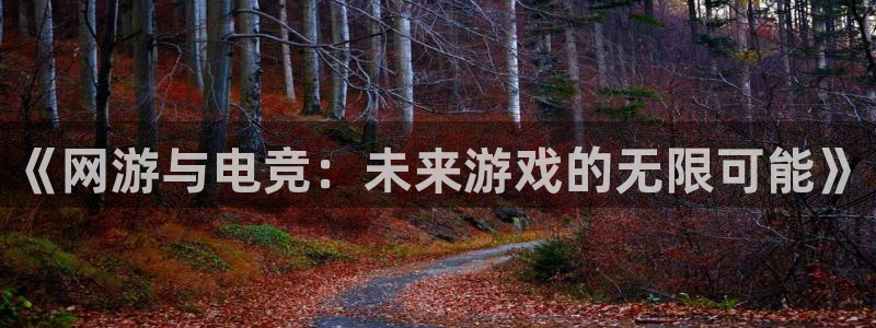 泛亚电竞综合APP：《网游与电竞：未来游戏的无限可能》