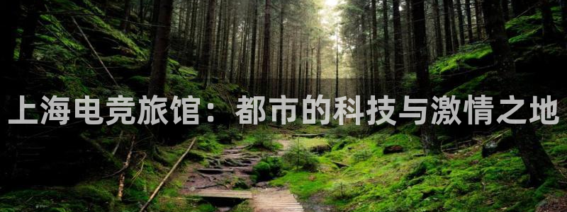 2021泛亚电竞网址：上海电竞旅馆：都市的科技与激情之地
