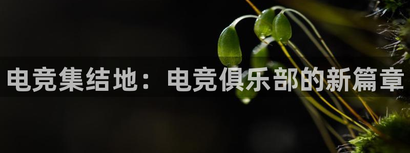 泛亚电竞官方版：电竞集结地：电竞俱乐部的新篇章