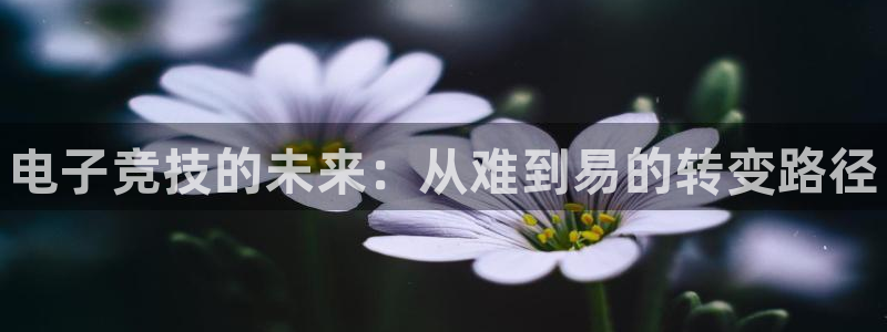 泛亚电竞英雄联盟竞猜：电子竞技的未来：从难到易的转变路径