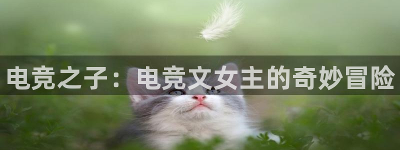泛亚电竞英雄联盟竞猜：电竞之子：电竞文女主的奇妙冒险