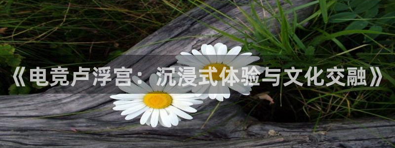 泛亚电竞平台官方最新版：《电竞卢浮宫：沉浸式体验与文化交融》