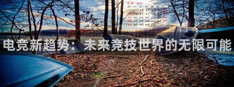 泛亚电竞首页app官方下载：电竞新趋势：未来竞技世界的无限可能
